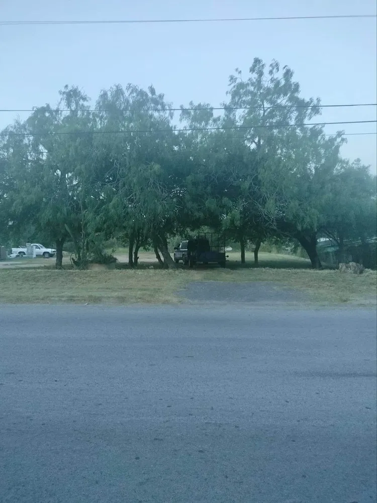 Affordable landscape design with custom design in Brownsville, TX by R&R Tree Service and Landscaping