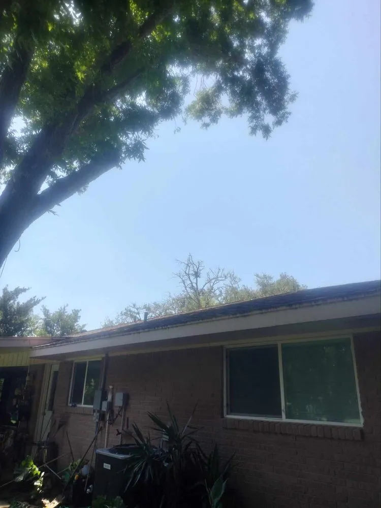 Local landscape design in Brownsville, TX by R&R Tree Service and Landscaping