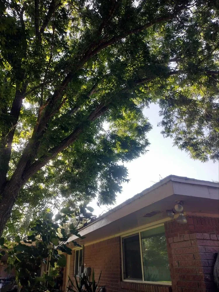 Local yard maintenance in Brownsville, TX by R&R Tree Service and Landscaping