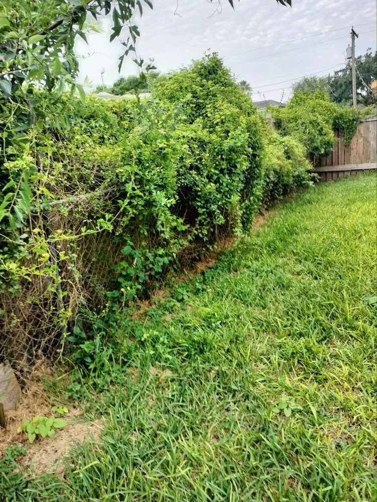 Expert outdoor landscaping experts serving Brownsville, TX - R&R Tree Service and Landscaping