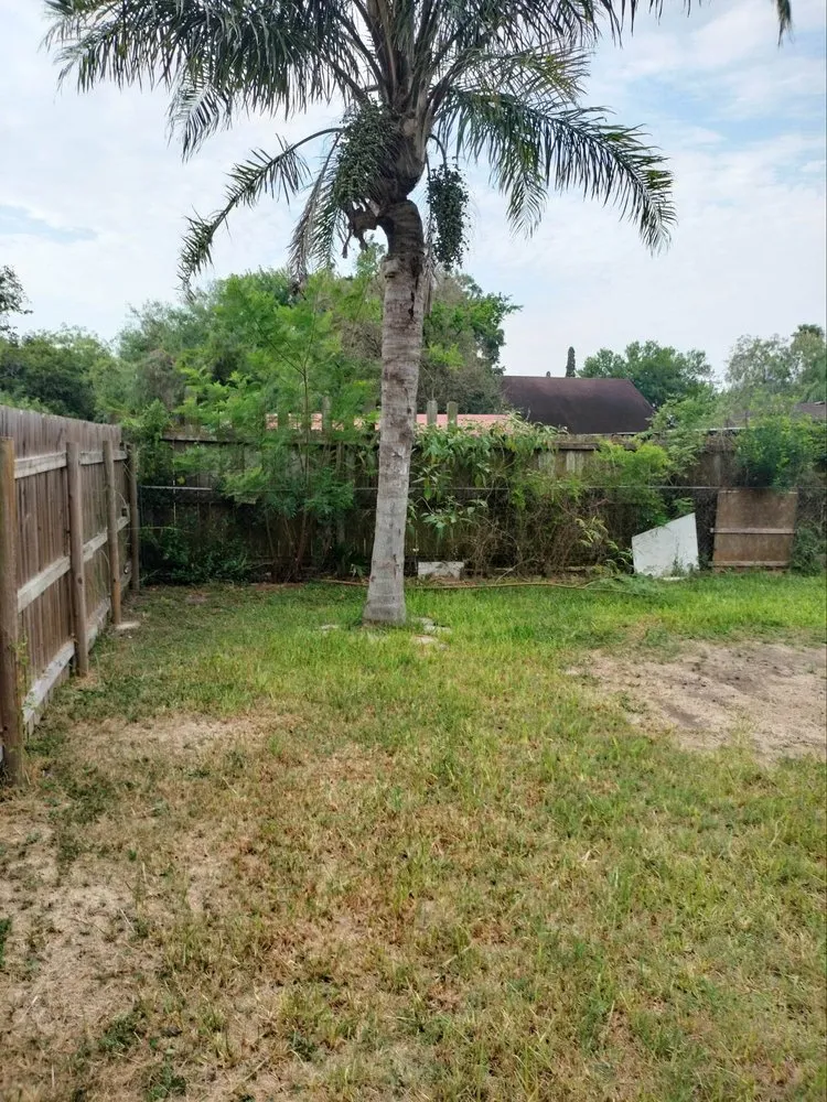 Top-rated yard maintenance experts serving Brownsville, TX - R&R Tree Service and Landscaping