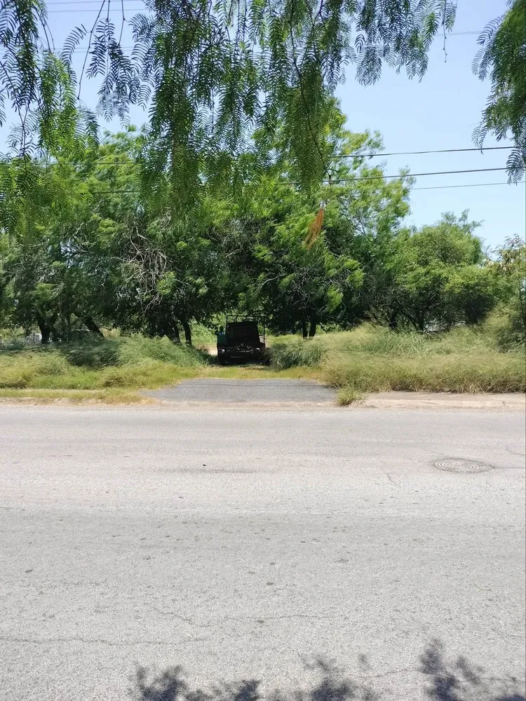 Professional lawn care service in Brownsville, TX by R&R Tree Service and Landscaping