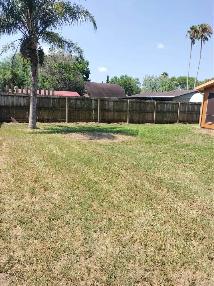 Professional yard maintenance in Brownsville, TX by R&R Tree Service and Landscaping