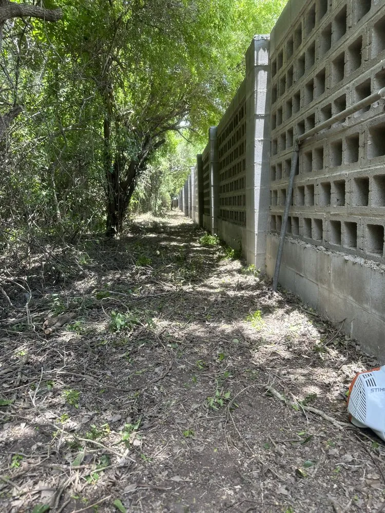 Affordable lawn mowing service in Palm Valley, TX by R&R Tree Service