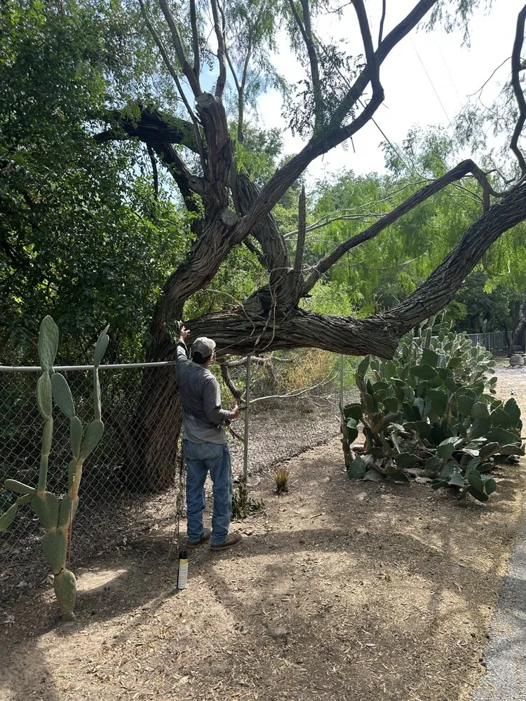 Trusted lawn care service for homes across Palm Valley, TX - R&R Tree Service