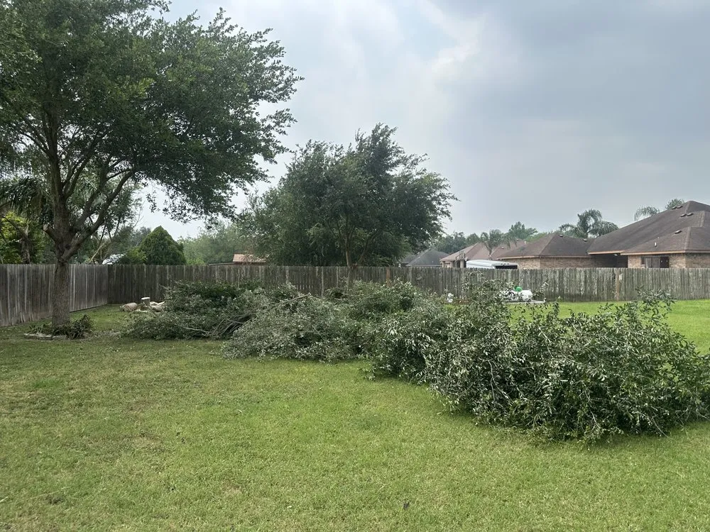Affordable garden landscaping with custom design across Palm Valley, TX - R&R Tree Service