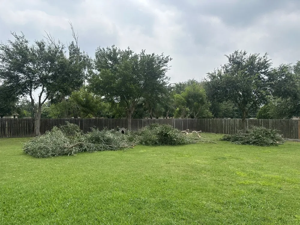 Top-rated yard cleanup service in Palm Valley, TX - R&R Tree Service