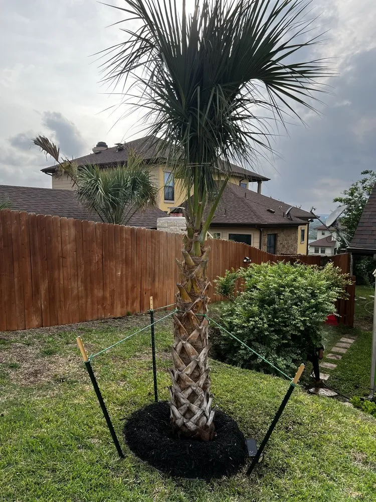 Professional landscape installation in Pflugerville, TX - RR TreeScapes