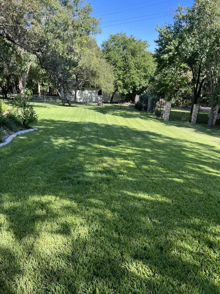 Trusted garden landscaping in Pflugerville, TX by RR TreeScapes