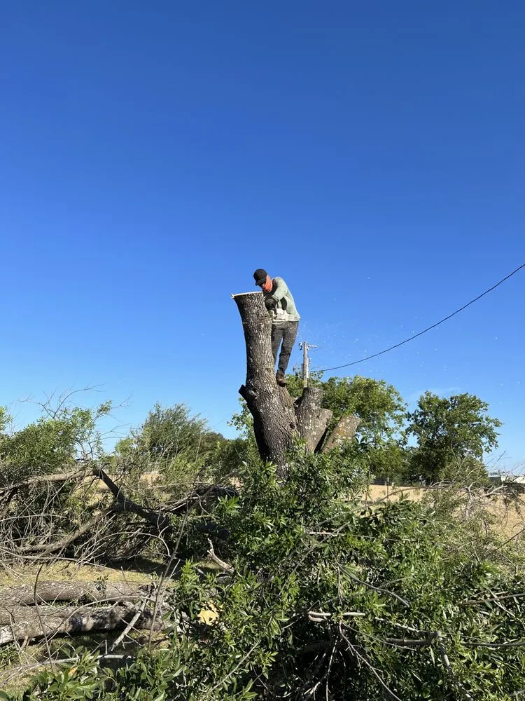 Local yard maintenance in Pflugerville, TX by RR TreeScapes