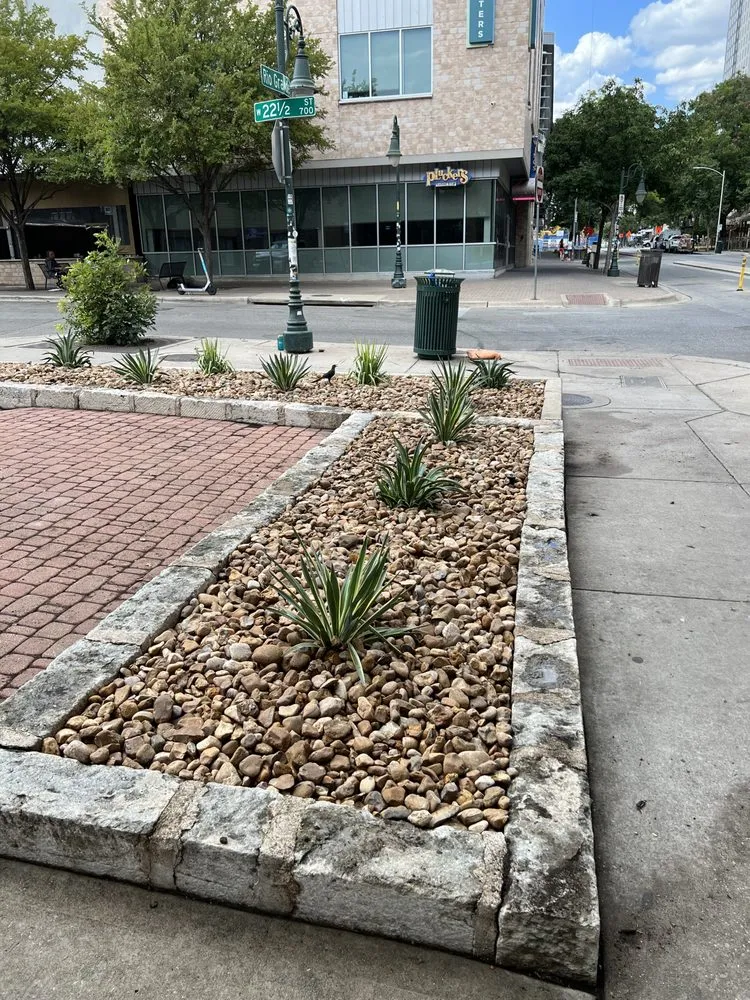 Top-rated residential landscaping for beautiful yards in Pflugerville, TX by RR TreeScapes