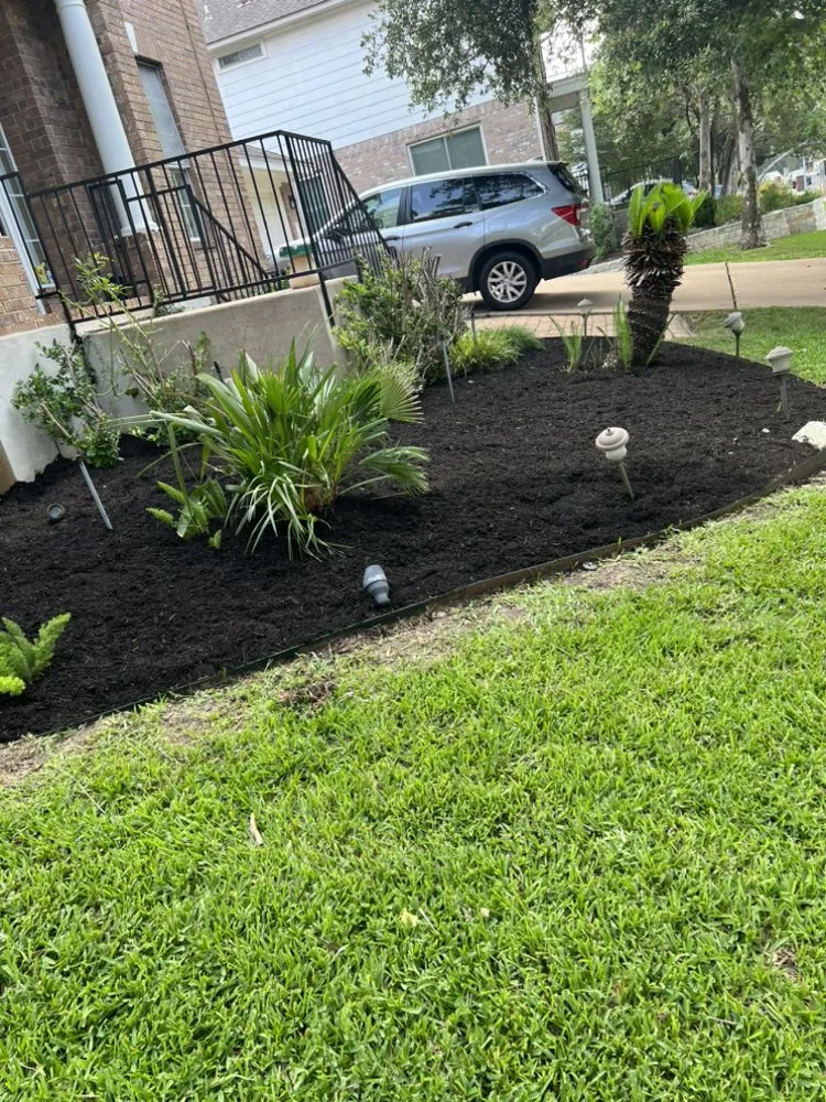 Custom outdoor landscaping experts serving Pflugerville, TX - RR TreeScapes