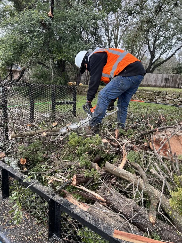 Trusted yard maintenance in Pflugerville, TX by RR TreeScapes