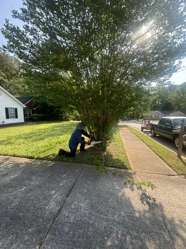 Expert landscaping services for residential properties across Rex, GA - RRamirez Landscape & maintenance