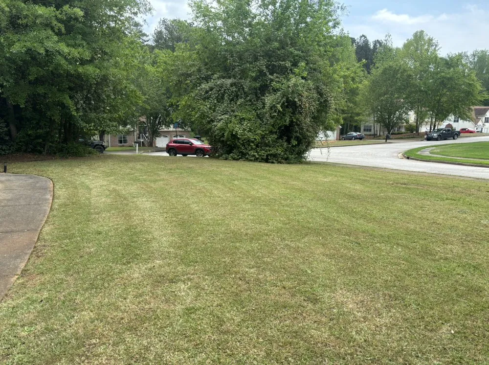 Trusted yard cleanup service for beautiful yards in Rex, GA by RRamirez Landscape & maintenance