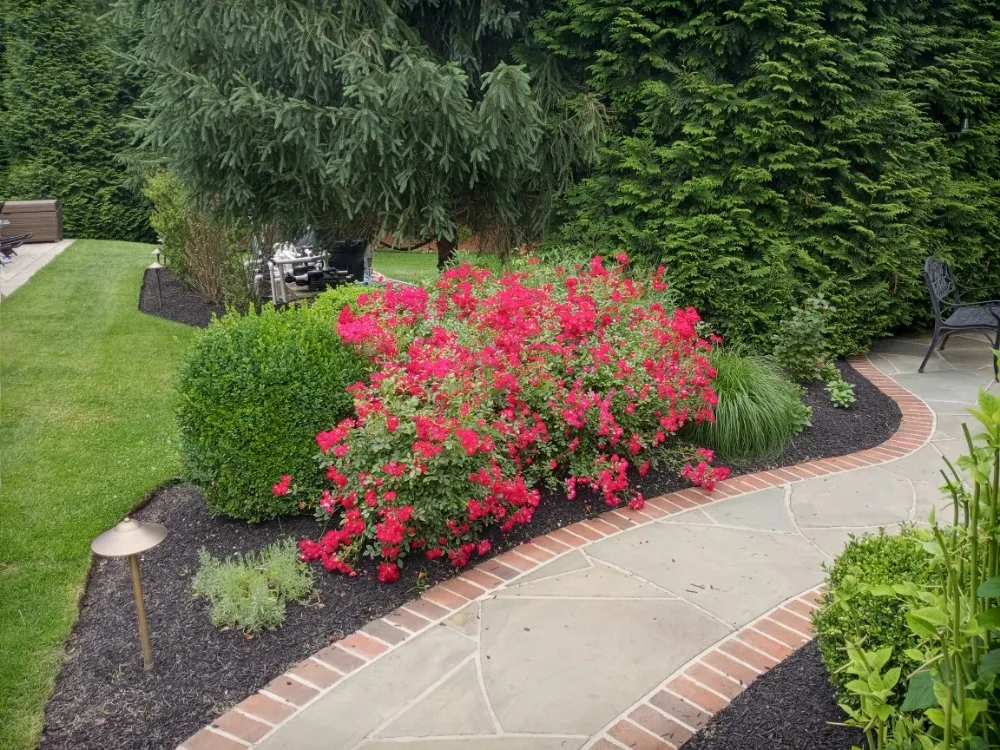 Reliable yard maintenance in Philadelphia, PA - RRH Landscaping Y Lawn Care