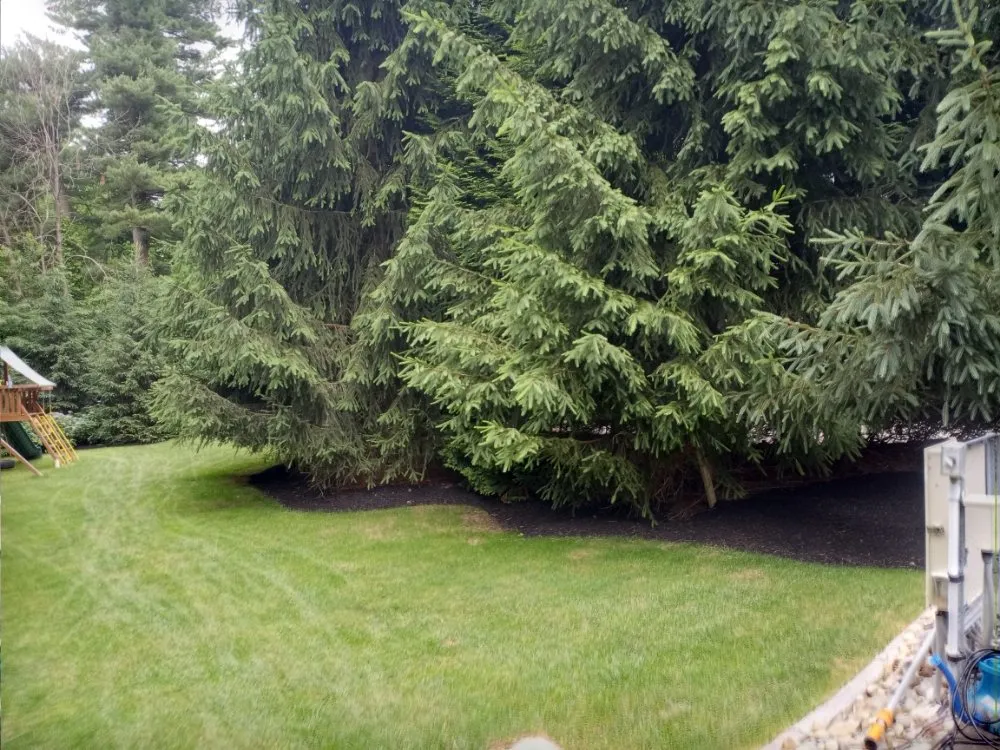 Reliable yard maintenance in Philadelphia, PA by RRH Landscaping Y Lawn Care