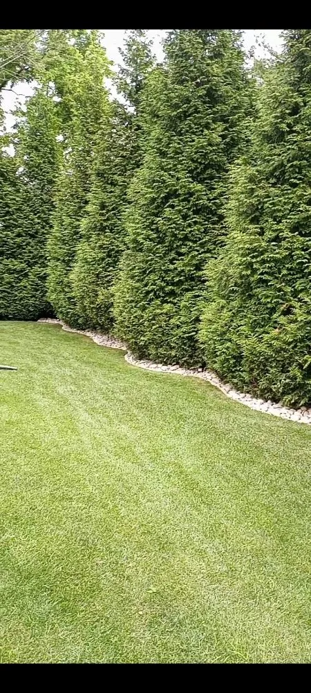 Trusted lawn mowing service experts serving Philadelphia, PA - RRH Landscaping Y Lawn Care