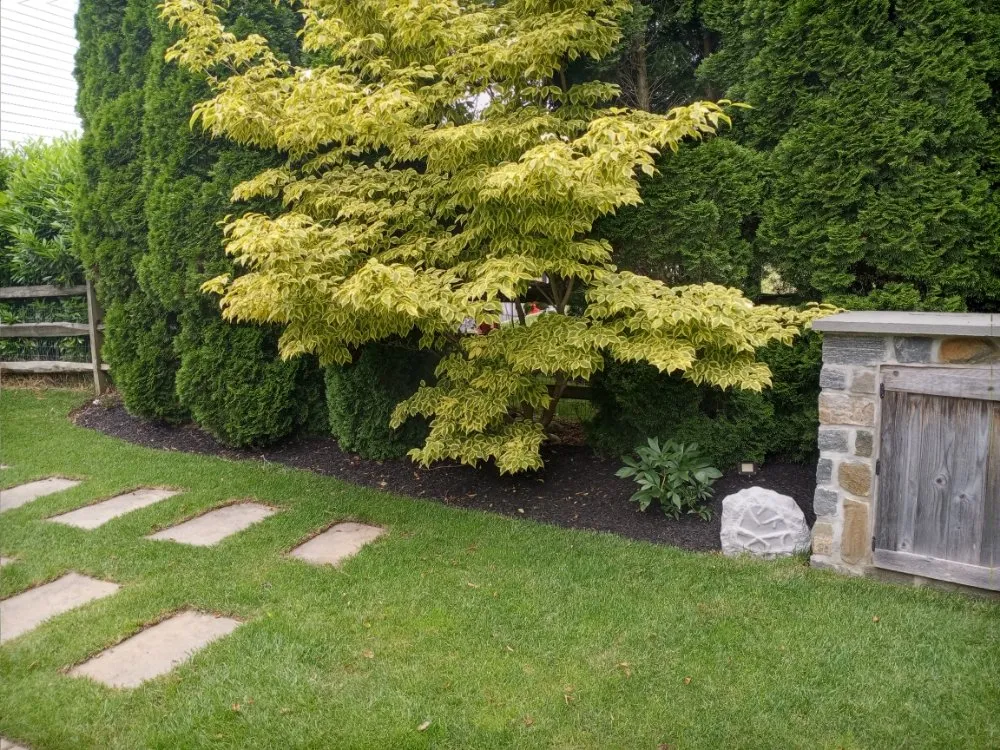 Trusted yard cleanup service in Philadelphia, PA by RRH Landscaping Y Lawn Care