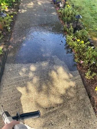 Affordable yard cleanup service in Sutherlin, OR - RRM Solutions