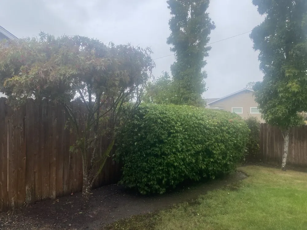 Affordable landscaping services experts serving Sutherlin, OR - RRM Solutions