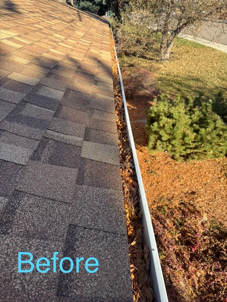 Trusted yard cleanup service in Denver, CO by RRR Landscaping