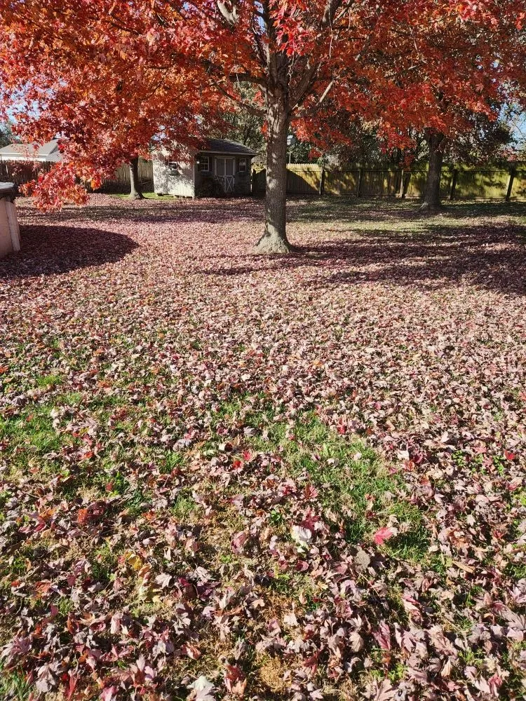 Expert lawn care service near you across Grove, OK - RRR Lawns