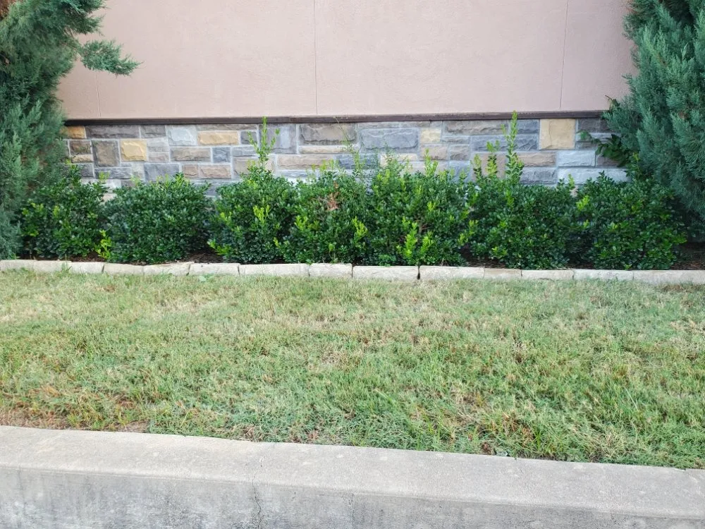 Custom residential landscaping for outdoor upgrades in Grove, OK by RRR Lawns