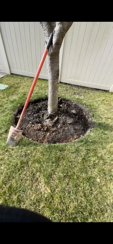 Professional landscape installation with custom design in Lexington, KY by RR's Mowing