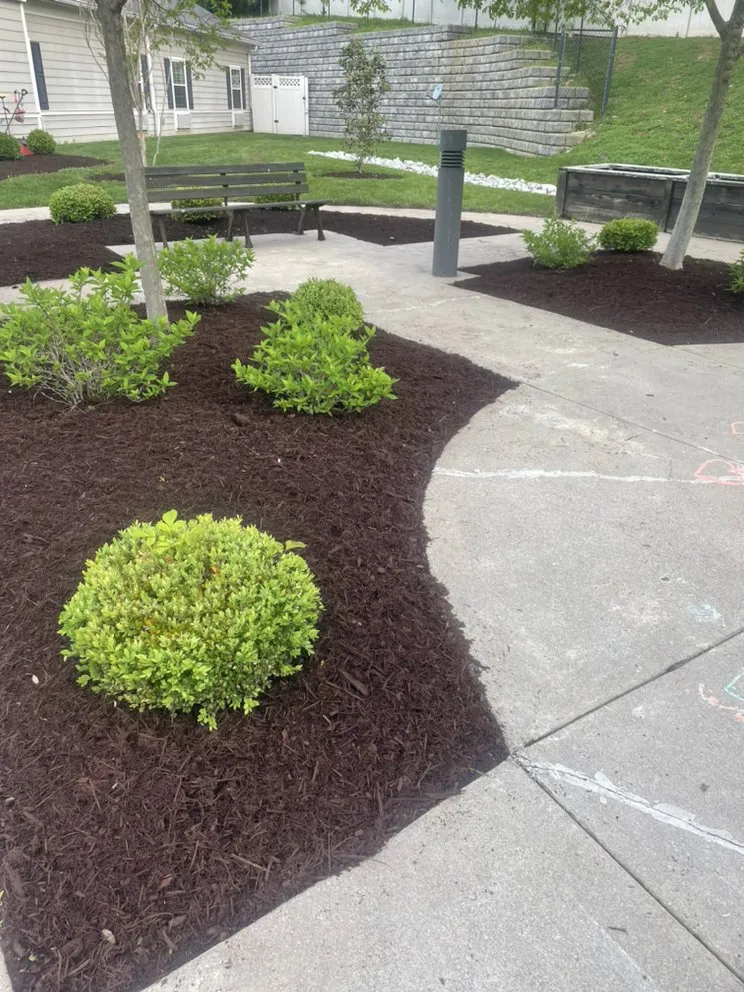 Reliable outdoor landscaping in Lexington, KY - RR's Mowing