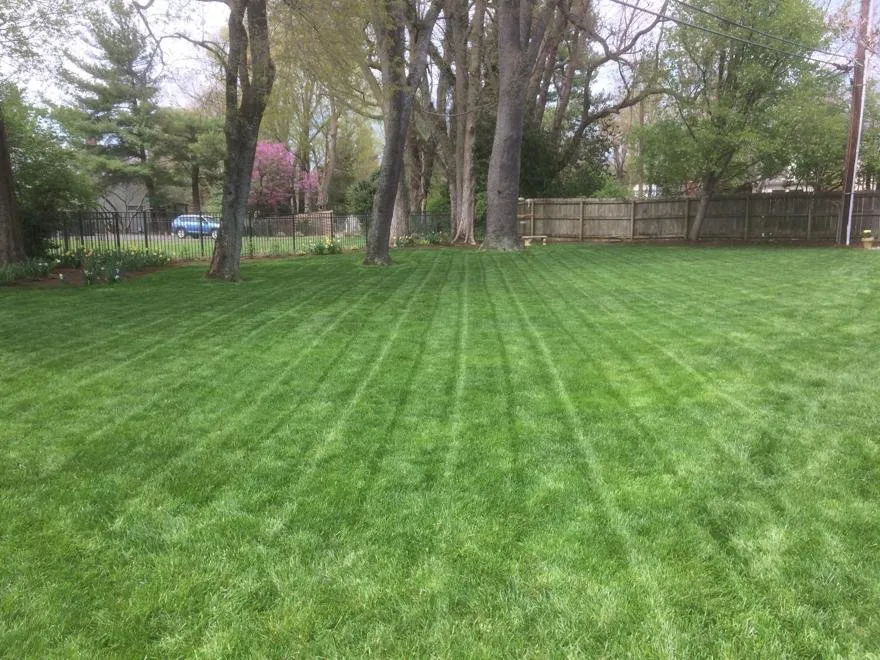 Reliable garden landscaping in Lexington, KY by RR's Mowing
