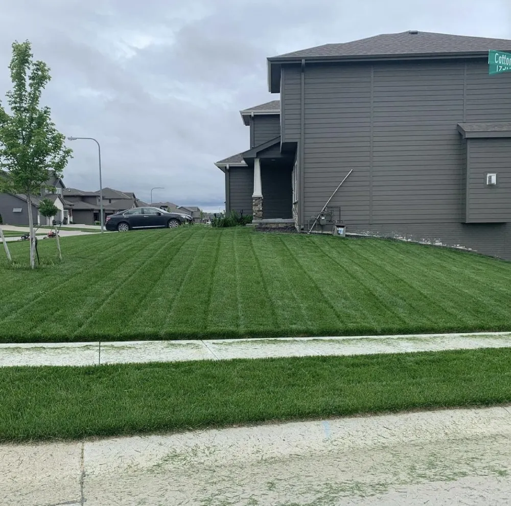 Local yard maintenance experts serving Lexington, KY - RR's Mowing