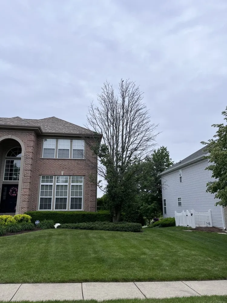 Trusted lawn care service in Round Lake, IL by R&S Affordable Tree Service