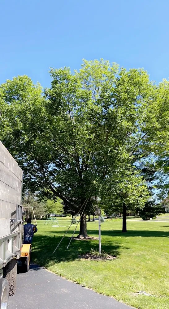 Custom yard maintenance for beautiful yards in Round Lake, IL by R&S Affordable Tree Service