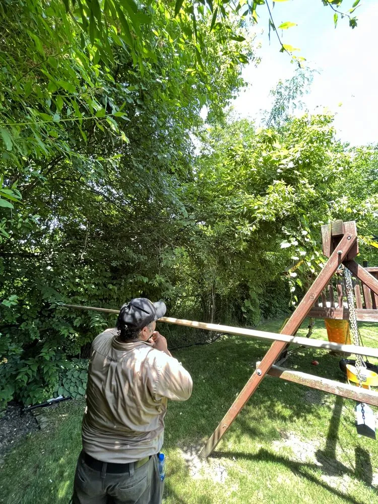 Reliable landscape design experts serving Round Lake, IL - R&S Affordable Tree Service