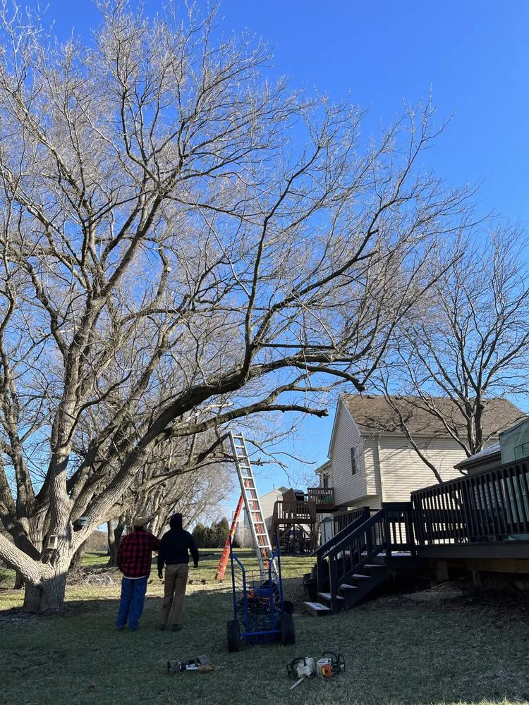 Trusted residential landscaping experts serving Round Lake, IL - R&S Affordable Tree Service
