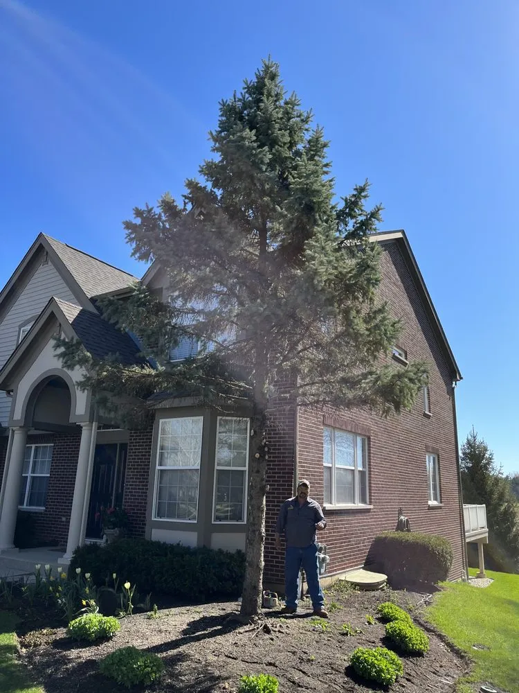 Reliable landscape installation in Round Lake, IL - R&S Affordable Tree Service