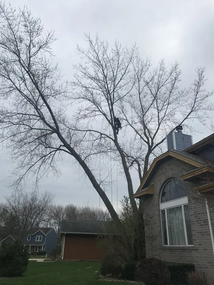 Professional residential landscaping in Round Lake, IL - R&S Affordable Tree Service