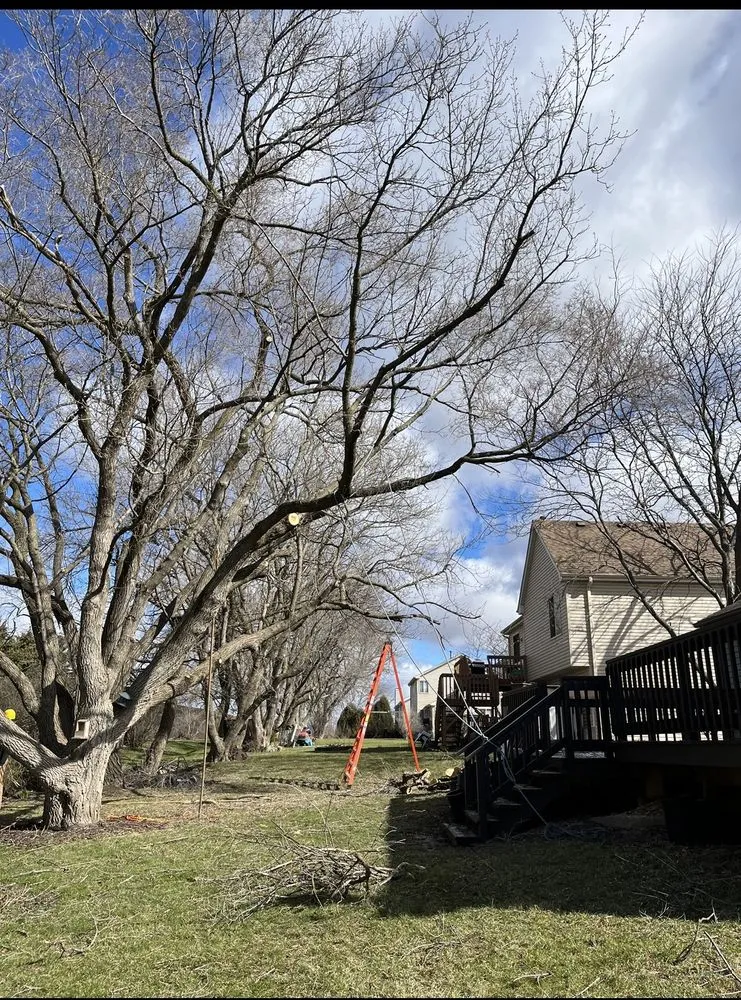 Expert yard maintenance in Round Lake, IL - R&S Affordable Tree Service