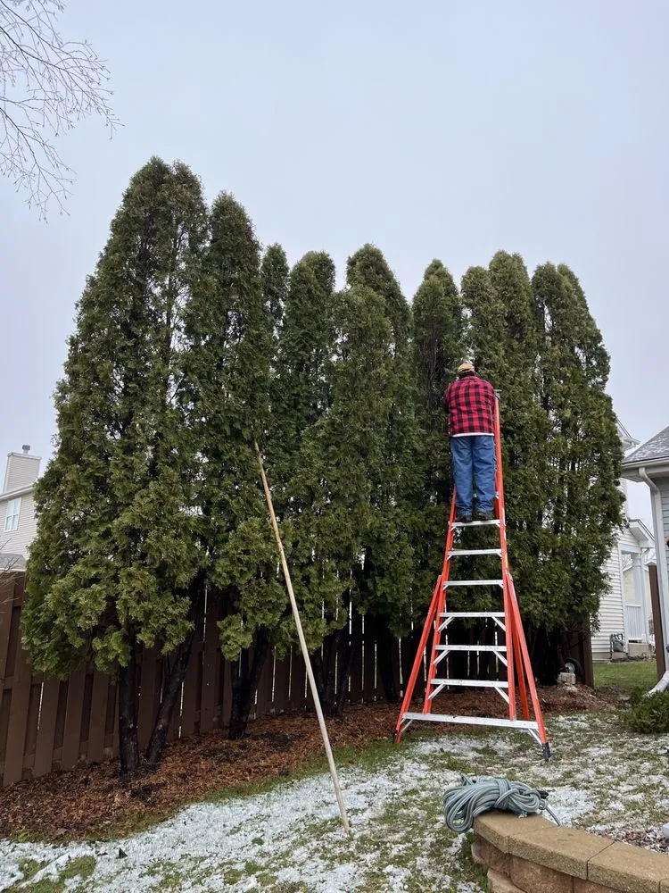 Expert yard maintenance experts serving Round Lake, IL - R&S Affordable Tree Service