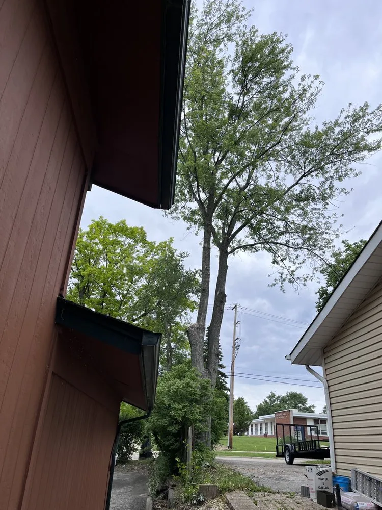 Affordable yard cleanup service experts serving Round Lake, IL - R&S Affordable Tree Service