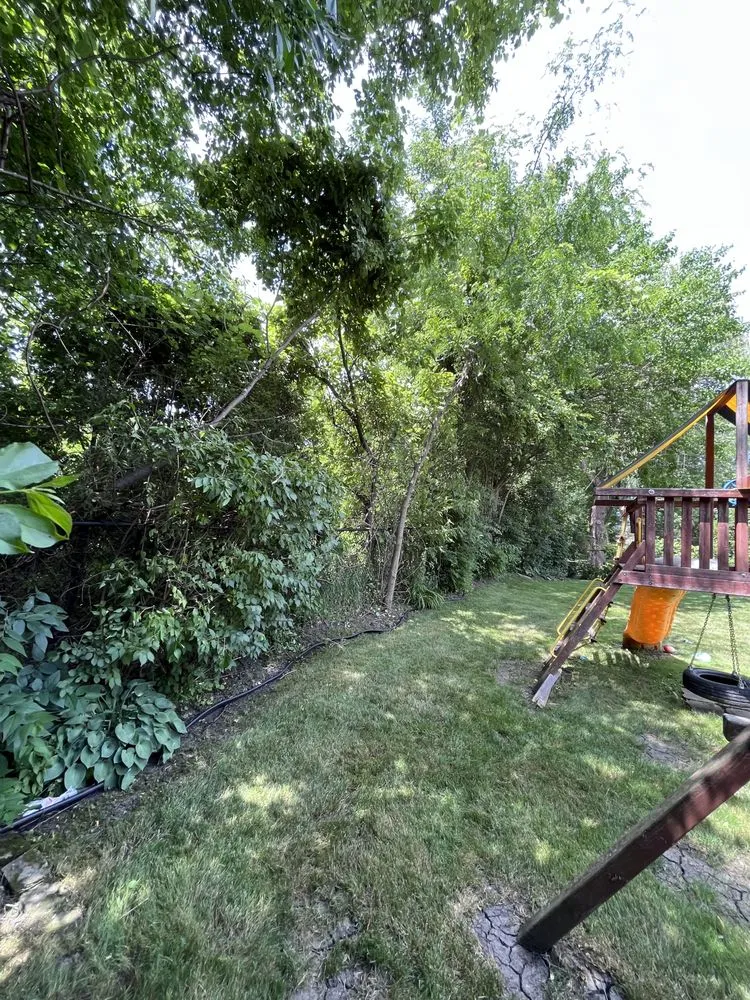 Affordable outdoor landscaping in Round Lake, IL by R&S Affordable Tree Service