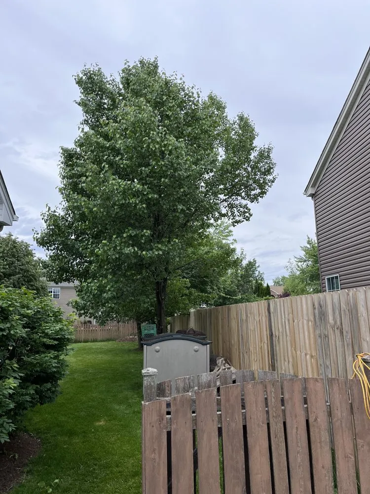 Affordable landscape installation experts serving Round Lake, IL - R&S Affordable Tree Service