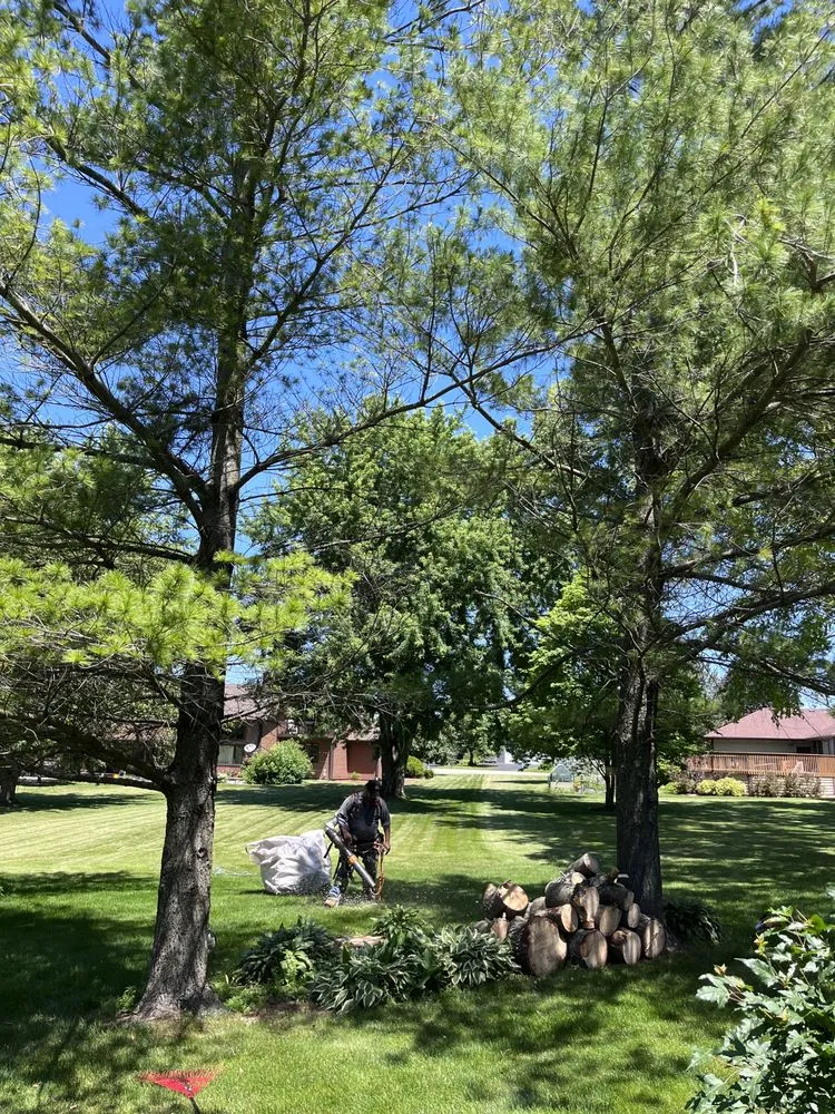 Local lawn mowing service with custom design in Round Lake, IL by R&S Affordable Tree Service