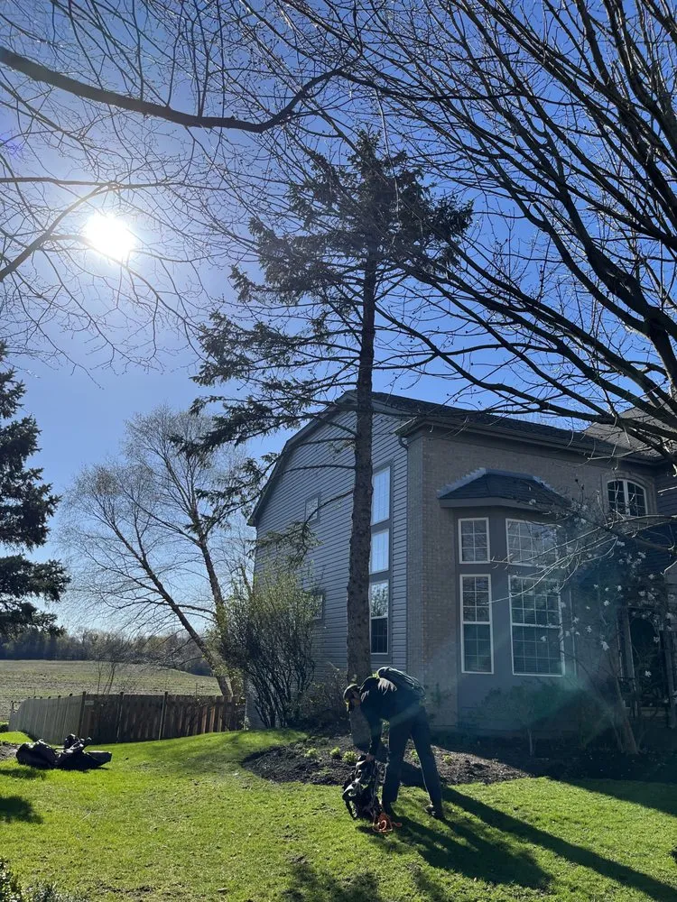 Affordable residential landscaping in Round Lake, IL - R&S Affordable Tree Service