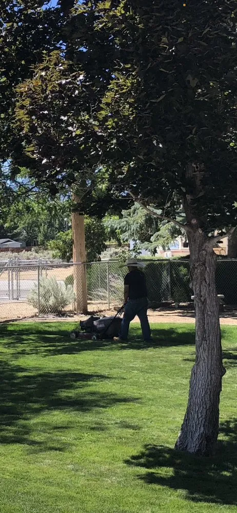 Custom landscaping services experts serving Carson City, NV - R&S Cleaning Services