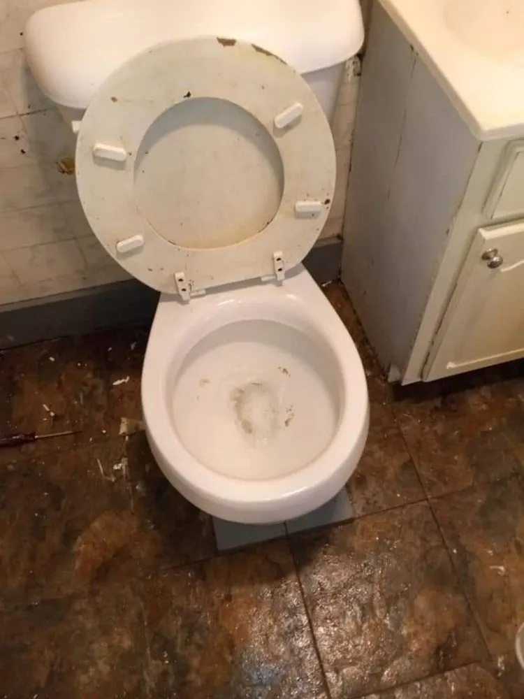 Expert landscape design in Saint Paul, MN by RS Cleaning Services