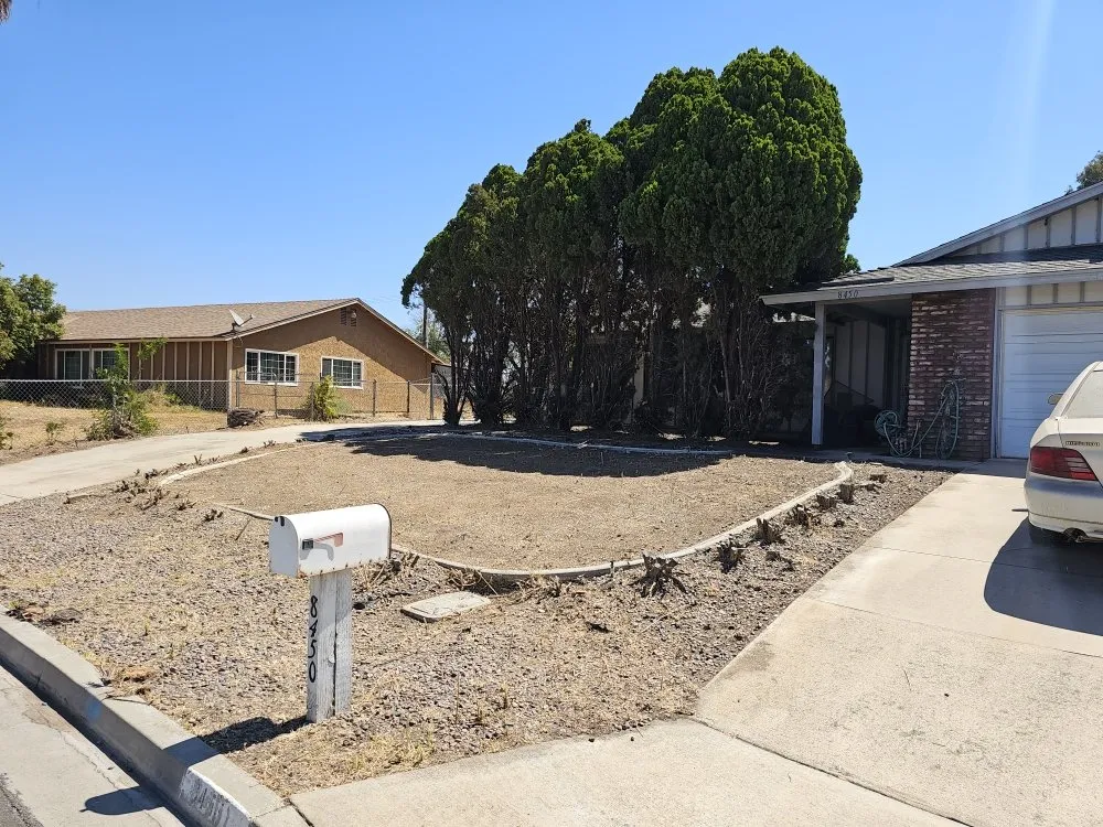 Expert lawn mowing service for year-round maintenance across Mira Loma, CA - R&S Demo & Junk Removal