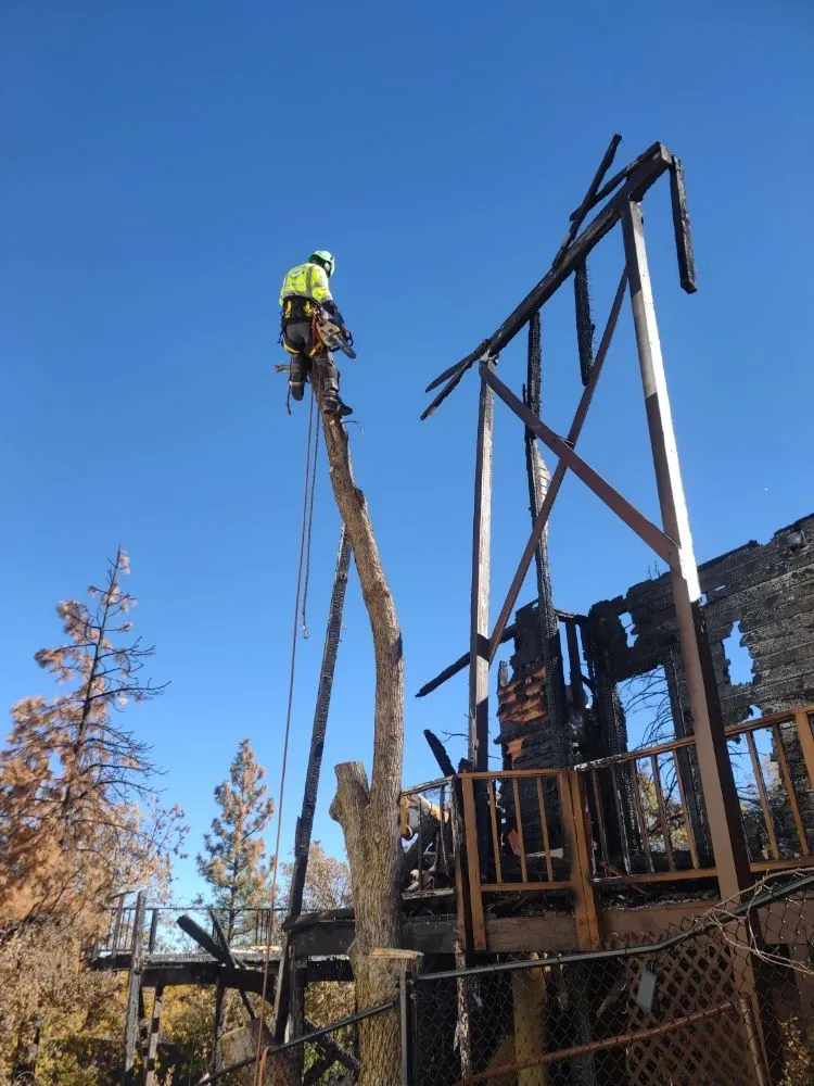 Local lawn care service in Mira Loma, CA by R&S Demo & Junk Removal