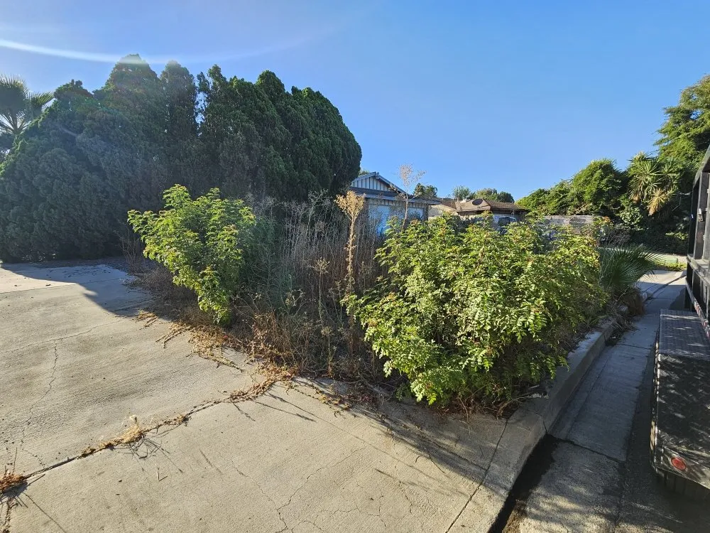 Trusted yard cleanup service experts serving Mira Loma, CA - R&S Demo & Junk Removal